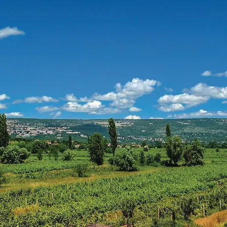 Lovely In With Sauna *